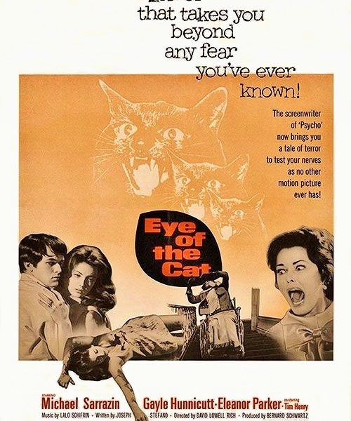 Eye of the Cat Poster